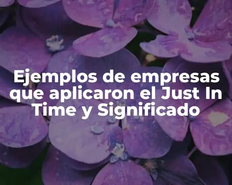 Ejemplos de empresas que aplicaron el Just In Time y Significado