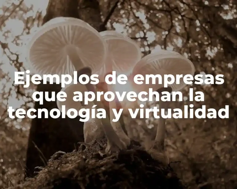 Ejemplos de empresas que aprovechan la tecnología y virtualidad