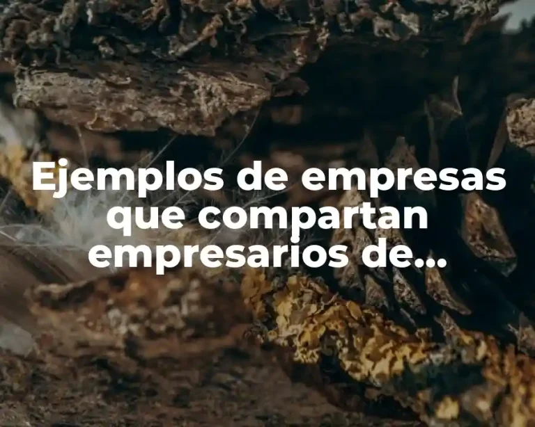 Ejemplos de empresas que compartan empresarios de gobierno y público y Significado