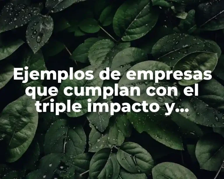 Ejemplos de empresas que cumplan con el triple impacto y Significado