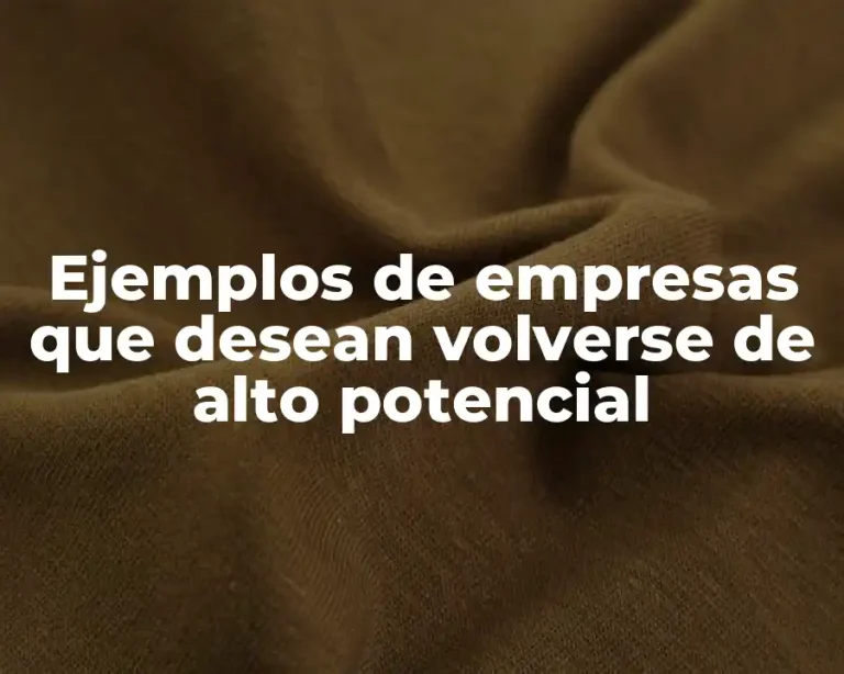 Ejemplos de empresas que desean volverse de alto potencial