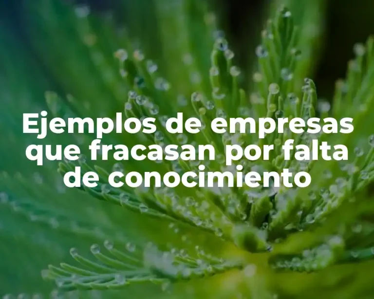 Ejemplos de empresas que fracasan por falta de conocimiento