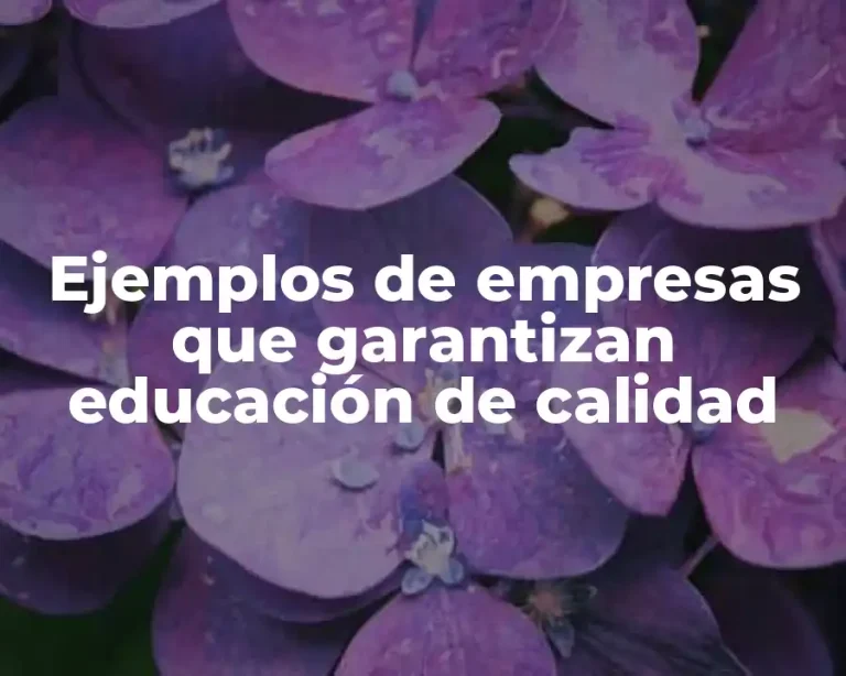Ejemplos de empresas que garantizan educación de calidad