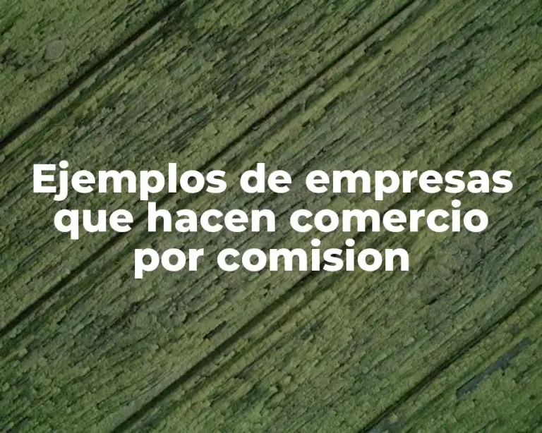 Ejemplos de empresas que hacen comercio por comision