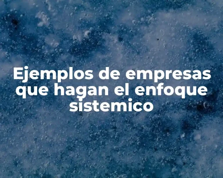 Ejemplos de empresas que hagan el enfoque sistemico