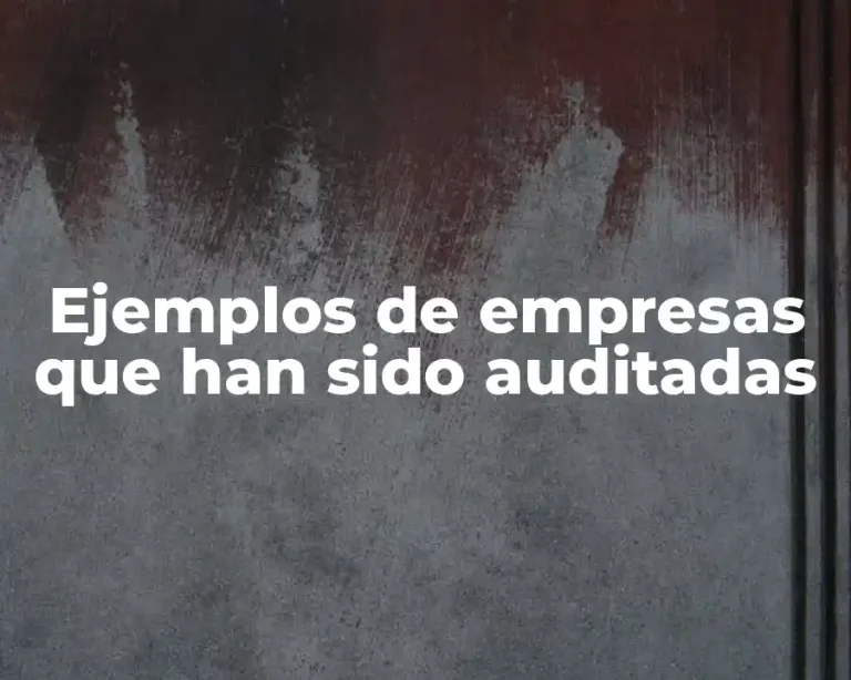 Ejemplos de empresas que han sido auditadas