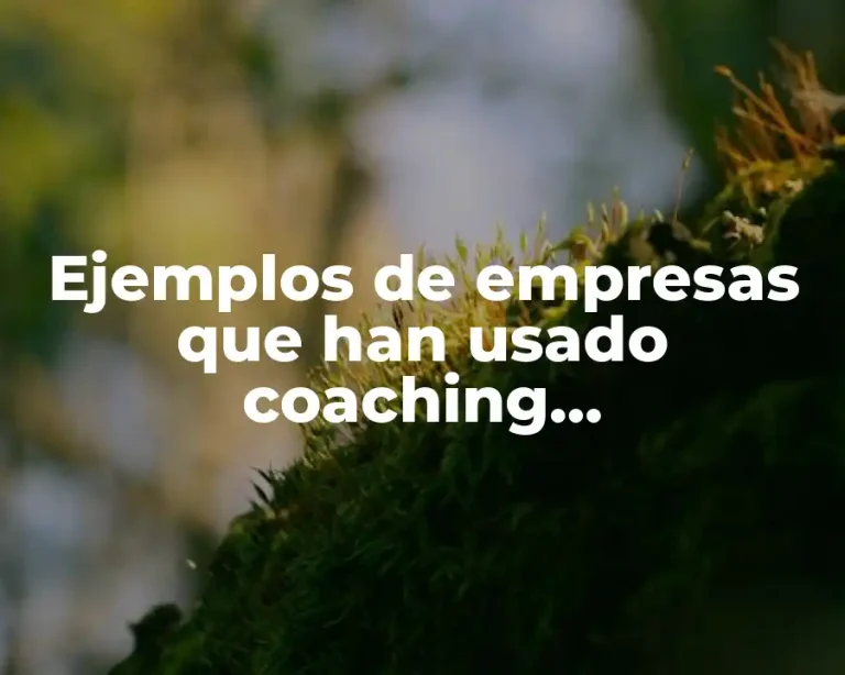 Ejemplos de empresas que han usado coaching empowerment y mentoring