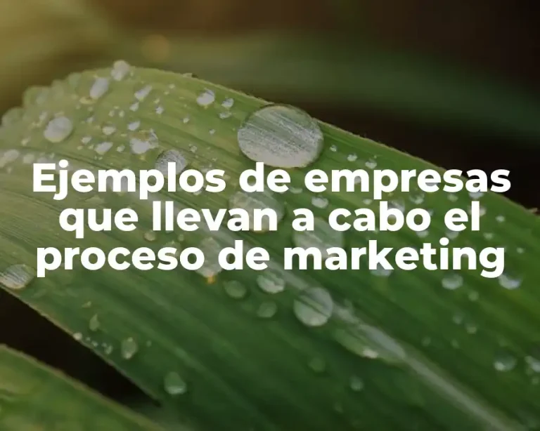 Ejemplos de empresas que llevan a cabo el proceso de marketing