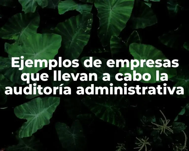 Ejemplos de empresas que llevan a cabo la auditoría administrativa