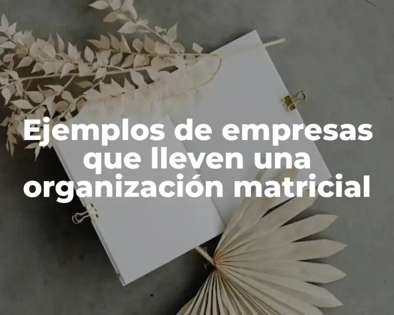 Ejemplos de empresas que lleven una organización matricial