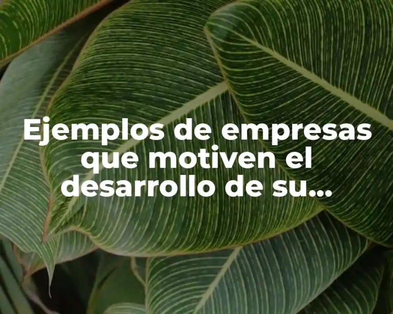 Ejemplos de empresas que motiven el desarrollo de su personal