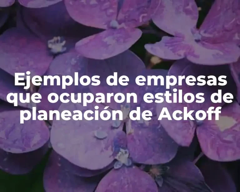 Ejemplos de empresas que ocuparon estilos de planeación de Ackoff