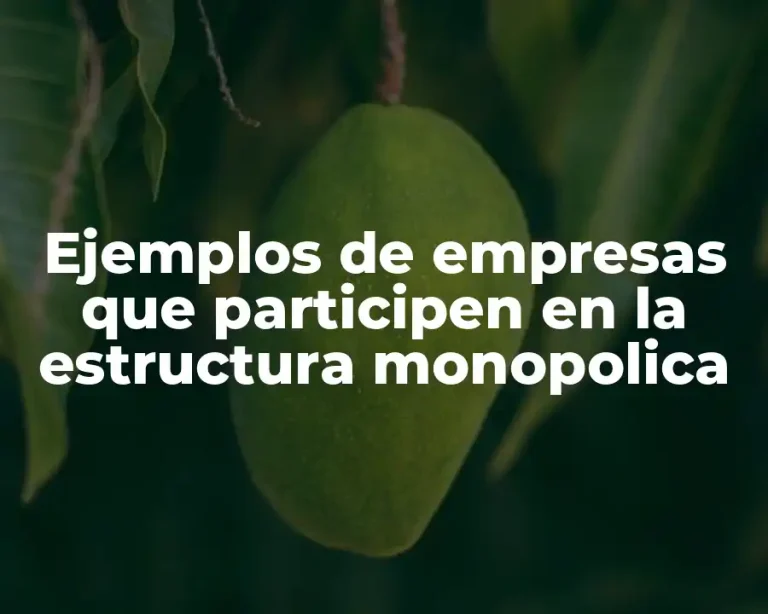 Ejemplos de empresas que participen en la estructura monopolica