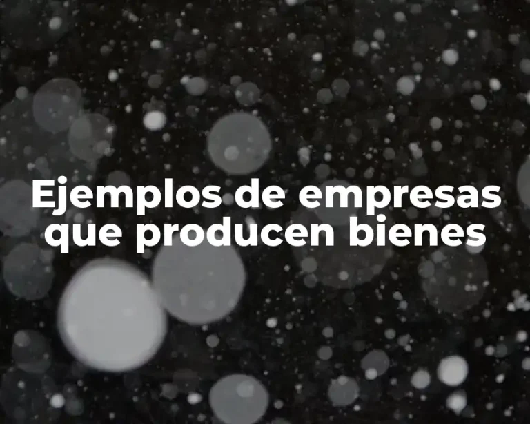 Ejemplos de empresas que producen bienes