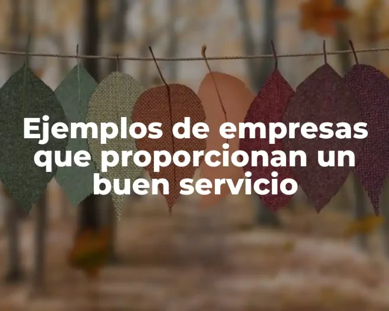 Ejemplos de empresas que proporcionan un buen servicio