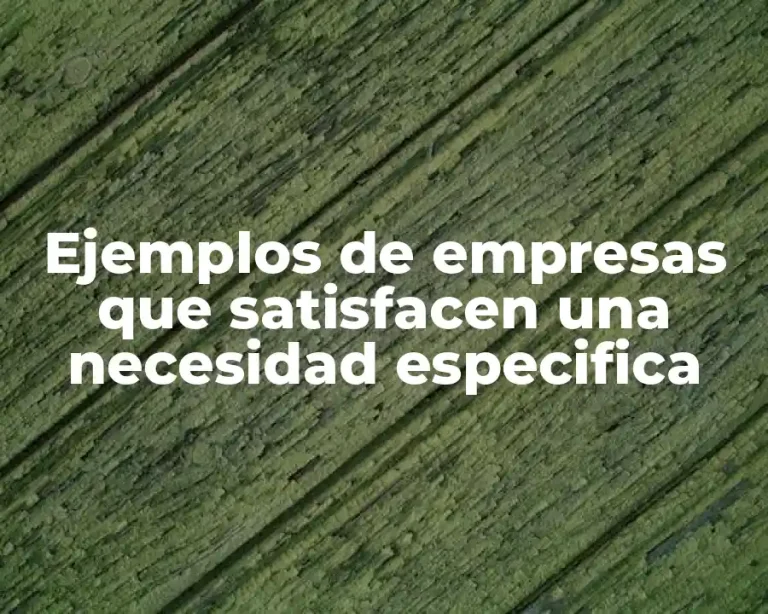 Ejemplos de empresas que satisfacen una necesidad especifica