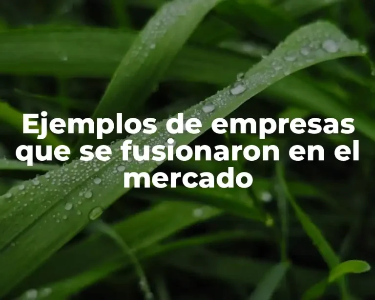 Ejemplos de empresas que se fusionaron en el mercado