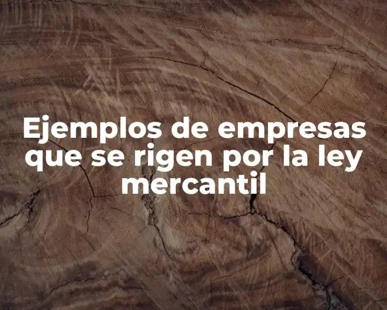 Ejemplos de empresas que se rigen por la ley mercantil