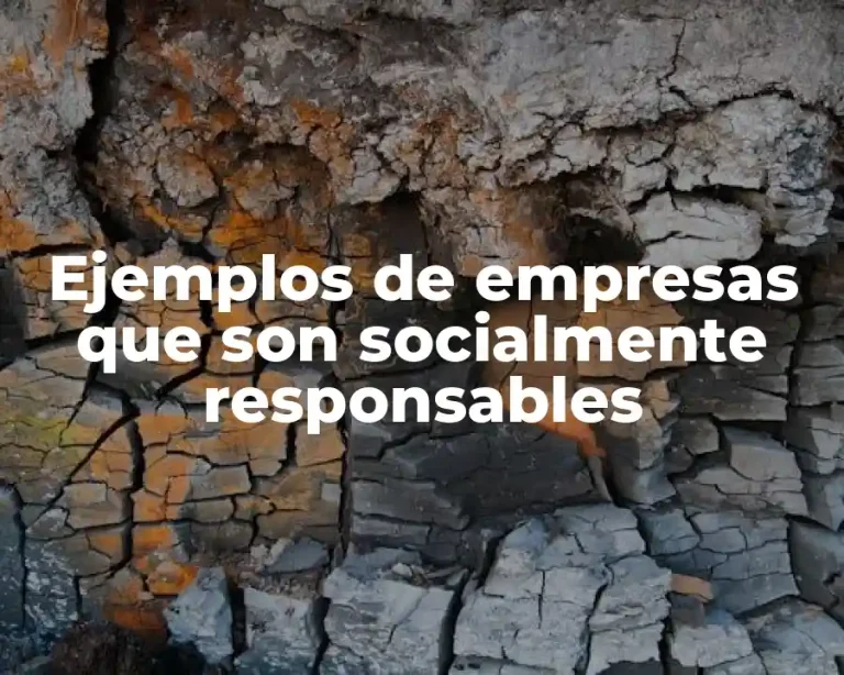 Ejemplos de empresas que son socialmente responsables