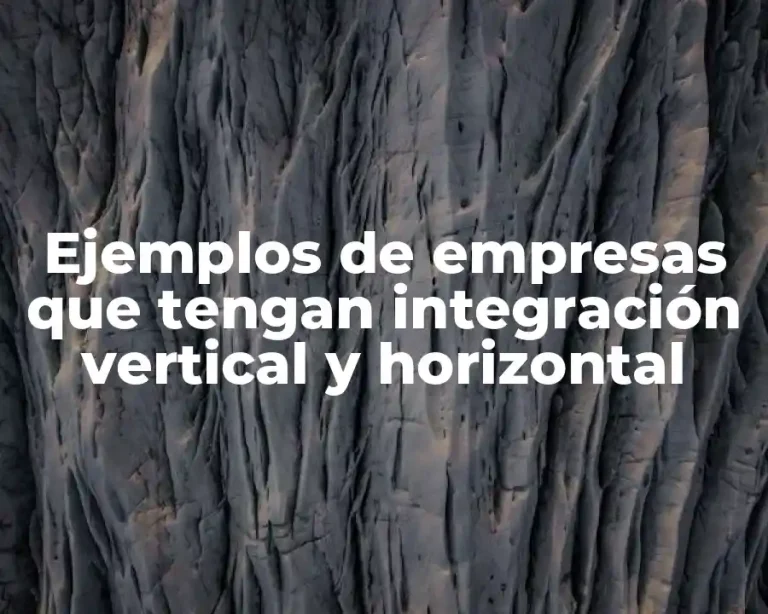 Ejemplos de empresas que tengan integración vertical y horizontal