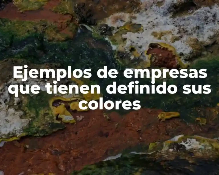 Ejemplos de empresas que tienen definido sus colores