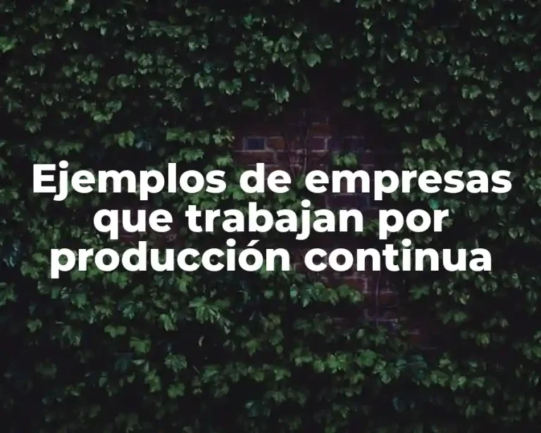 Ejemplos de empresas que trabajan por producción continua