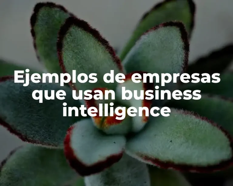 Ejemplos de empresas que usan business intelligence