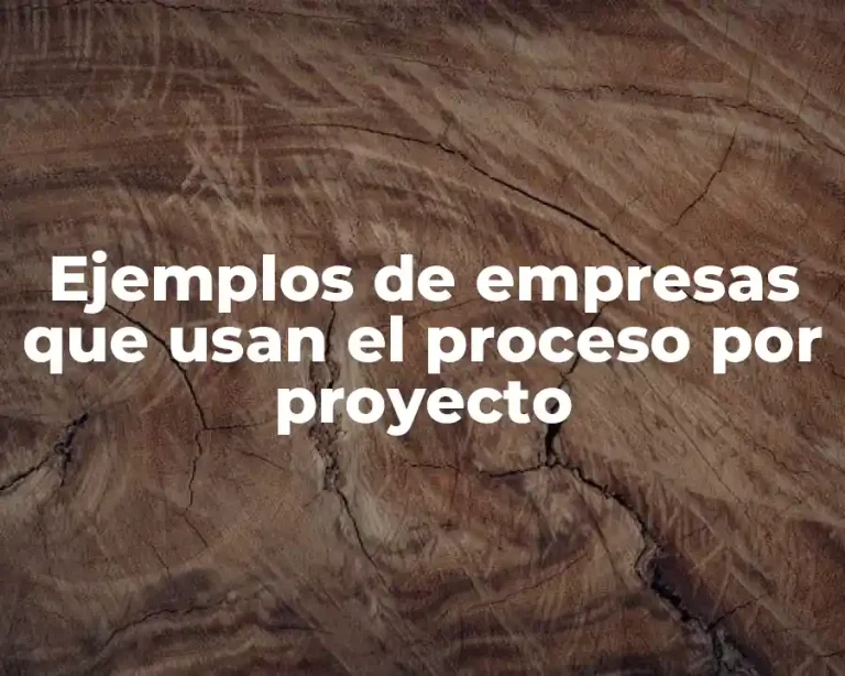 Ejemplos de empresas que usan el proceso por proyecto