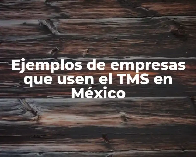 Ejemplos de empresas que usen el TMS en México
