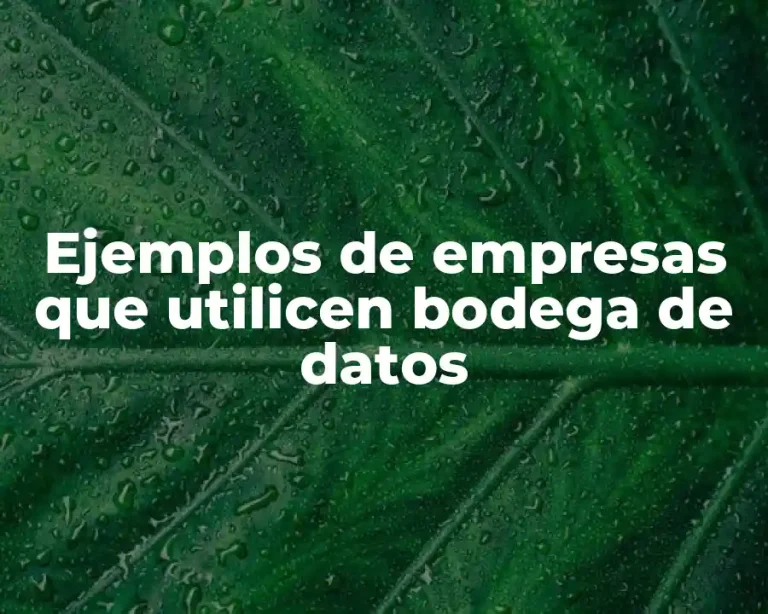 Ejemplos de empresas que utilicen bodega de datos