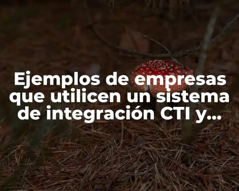 Ejemplos de empresas que utilicen un sistema de integración CTI y Significado