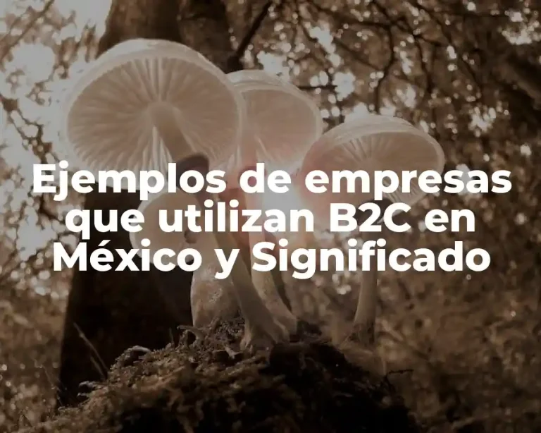Ejemplos de empresas que utilizan B2C en México y Significado