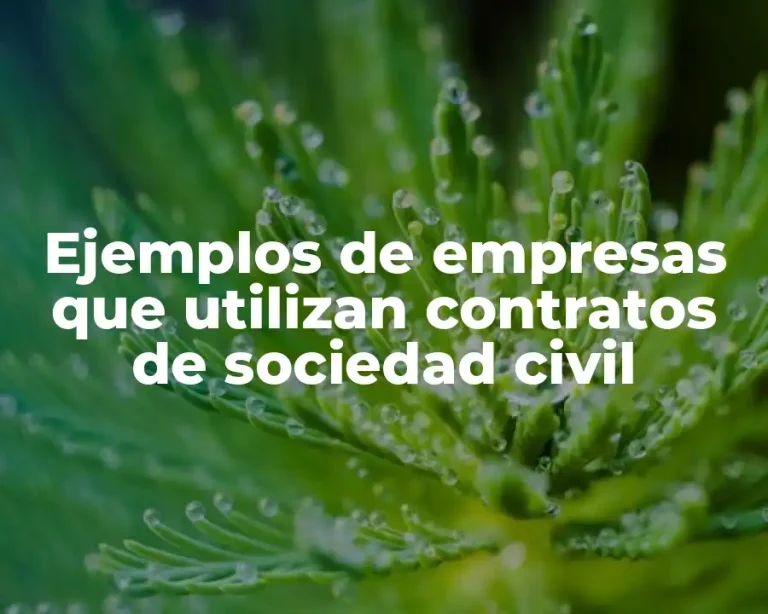 Ejemplos de empresas que utilizan contratos de sociedad civil