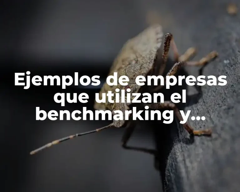Ejemplos de empresas que utilizan el benchmarking y Significado