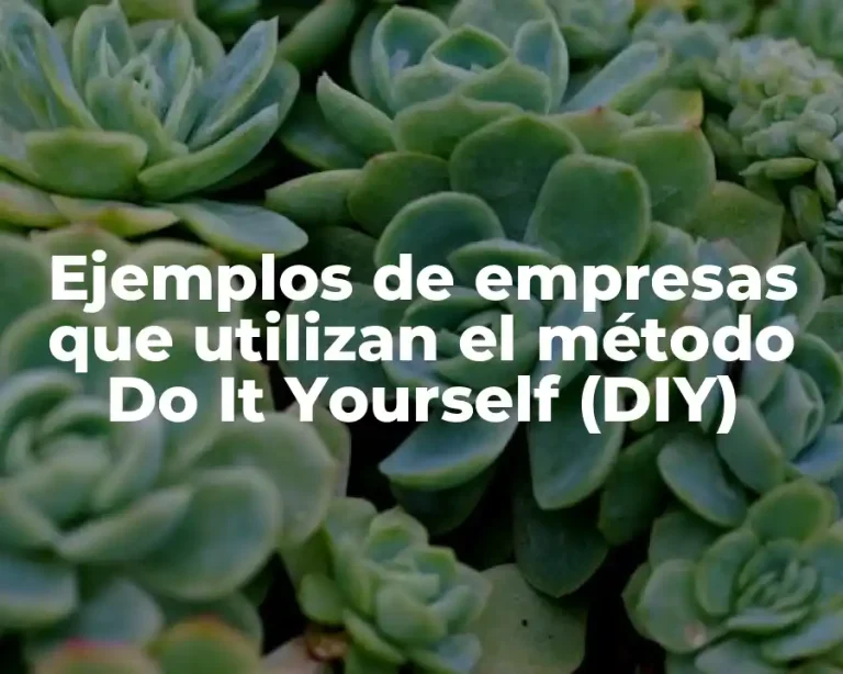 Ejemplos de empresas que utilizan el método Do It Yourself (DIY)