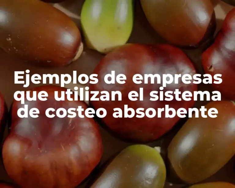 Ejemplos de empresas que utilizan el sistema de costeo absorbente