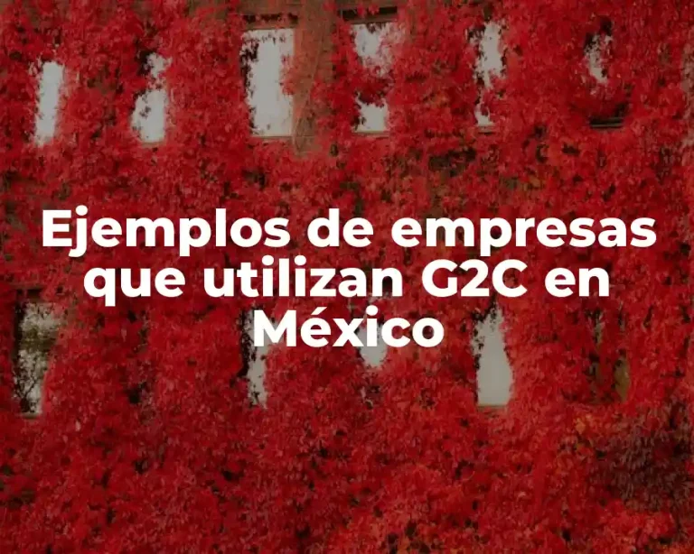 Ejemplos de empresas que utilizan G2C en México