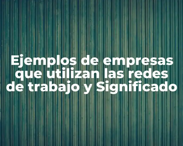 Ejemplos de empresas que utilizan las redes de trabajo y Significado