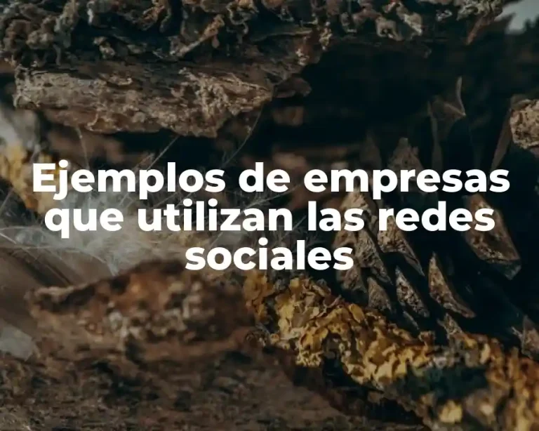 Ejemplos de empresas que utilizan las redes sociales