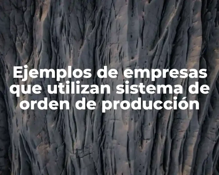 Ejemplos de empresas que utilizan sistema de orden de producción
