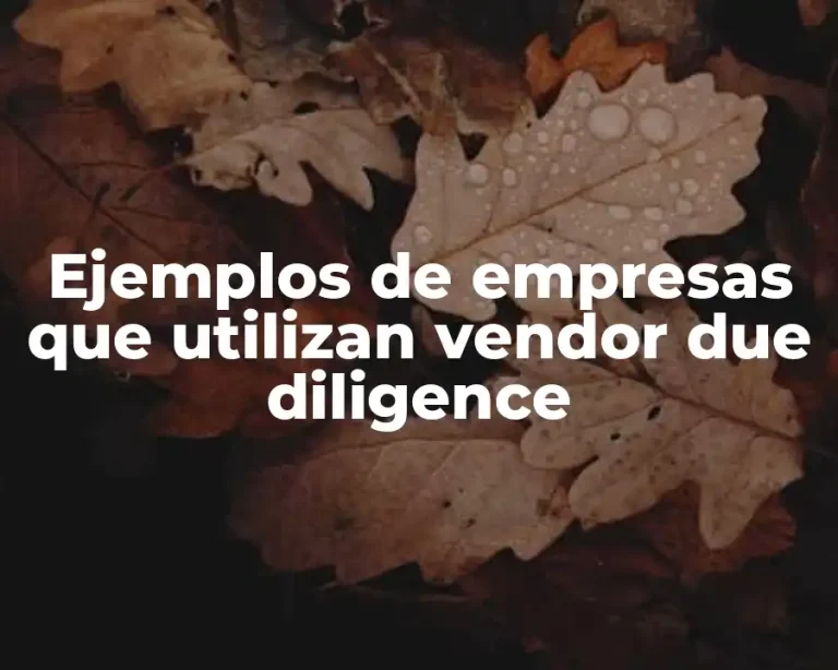 Ejemplos de empresas que utilizan vendor due diligence