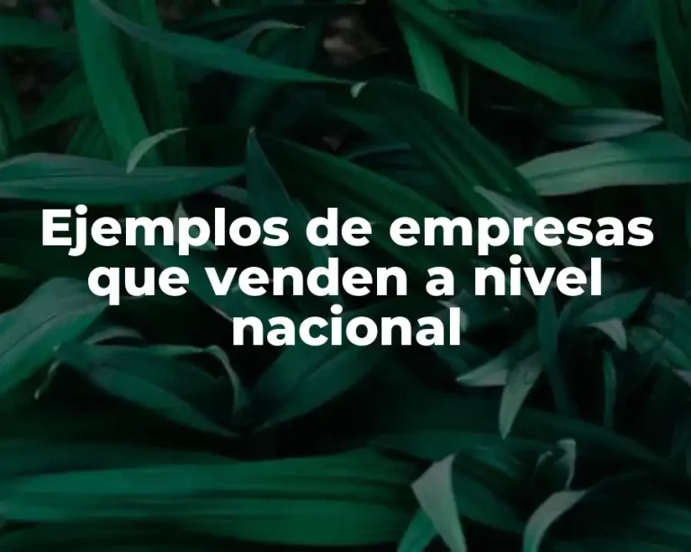 Ejemplos de empresas que venden a nivel nacional