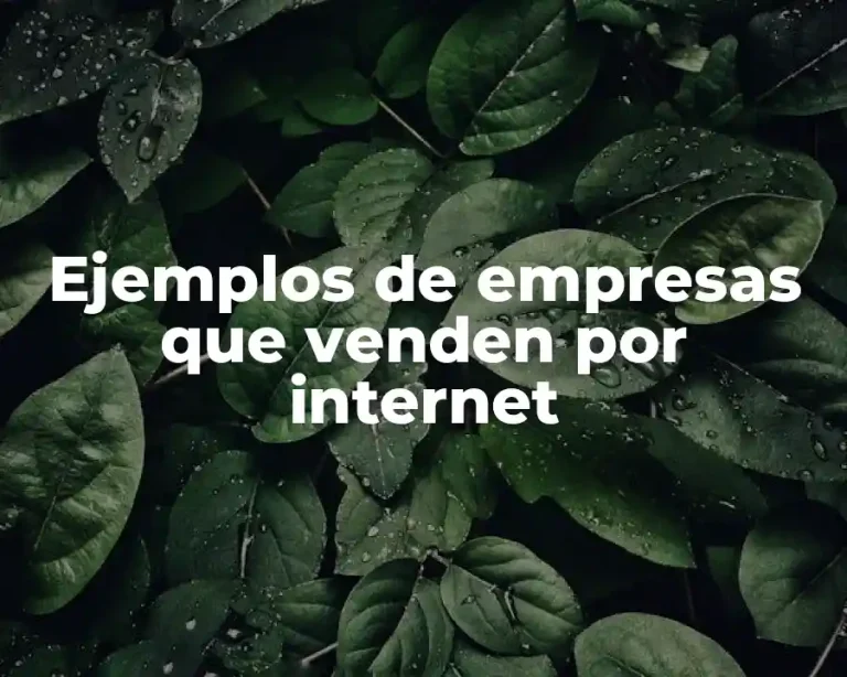 Ejemplos de empresas que venden por internet