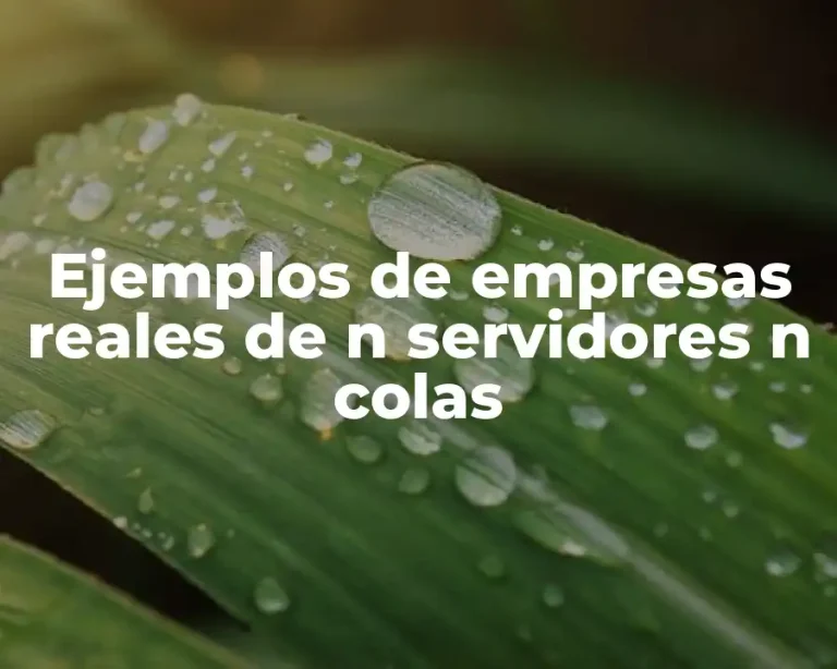 Ejemplos de empresas reales de n servidores n colas