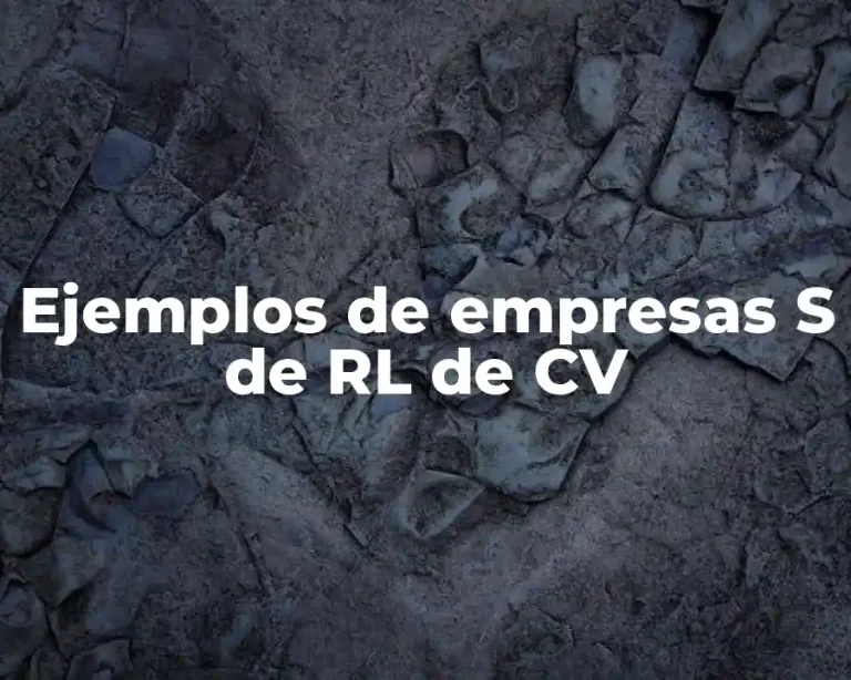Ejemplos de empresas S de RL de CV