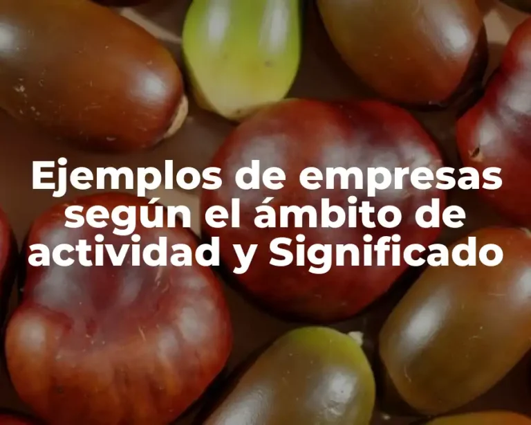 Ejemplos de empresas según el ámbito de actividad y Significado