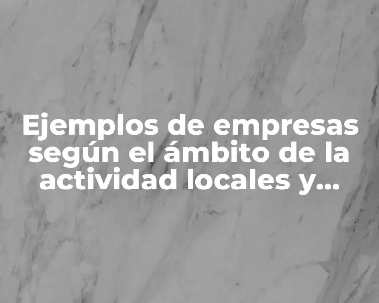 Ejemplos de empresas según el ámbito de la actividad locales y Significado