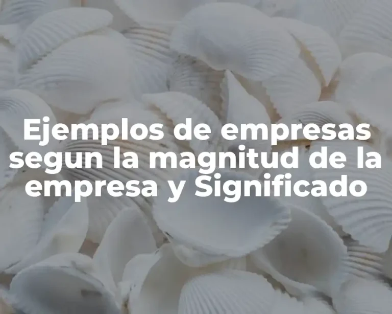 Ejemplos de empresas segun la magnitud de la empresa y Significado