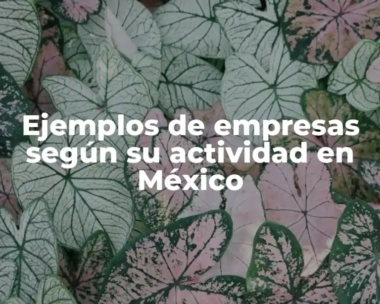 Ejemplos de empresas según su actividad en México