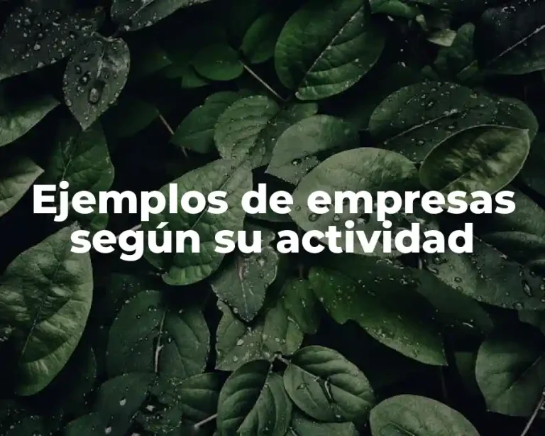 Ejemplos de empresas según su actividad